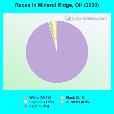 Races in Mineral Ridge, OH (2000)