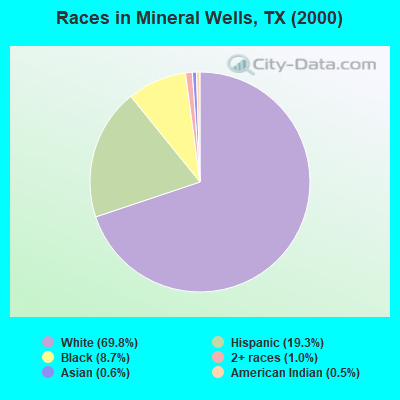 Races in Mineral Wells, TX (2000)