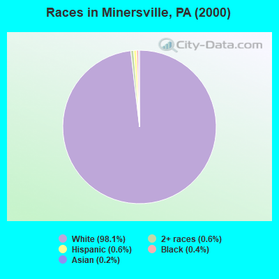 Races in Minersville, PA (2000)
