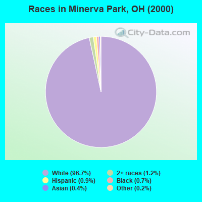 Races in Minerva Park, OH (2000)