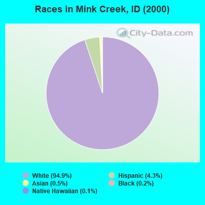 Races in Mink Creek, ID (2000)