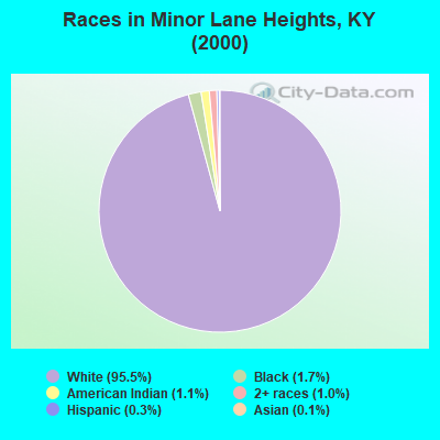Races in Minor Lane Heights, KY (2000)