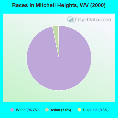 Races in Mitchell Heights, WV (2000)