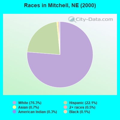 Races in Mitchell, NE (2000)