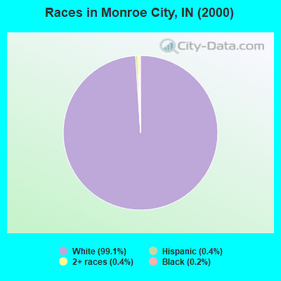 Races in Monroe City, IN (2000)