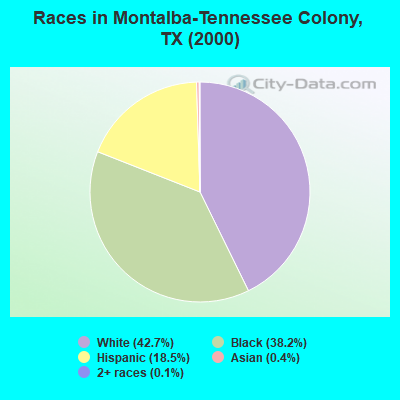 Races in Montalba-Tennessee Colony, TX (2000)