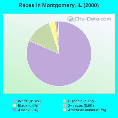 Races in Montgomery, IL (2000)