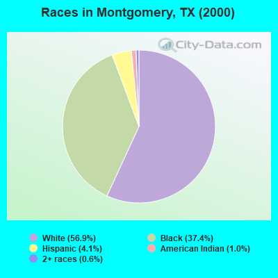 Races in Montgomery, TX (2000)