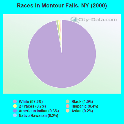 Races in Montour Falls, NY (2000)