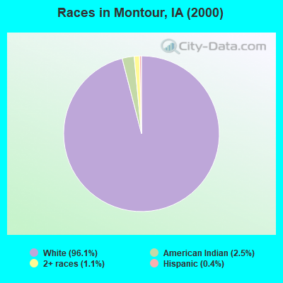 Races in Montour, IA (2000)