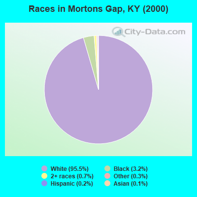 Races in Mortons Gap, KY (2000)