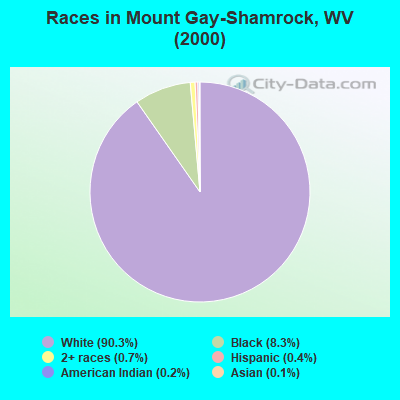 Races in Mount Gay-Shamrock, WV (2000)