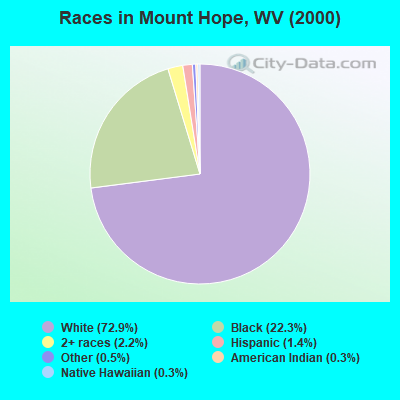 Races in Mount Hope, WV (2000)