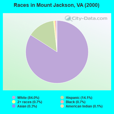 Races in Mount Jackson, VA (2000)