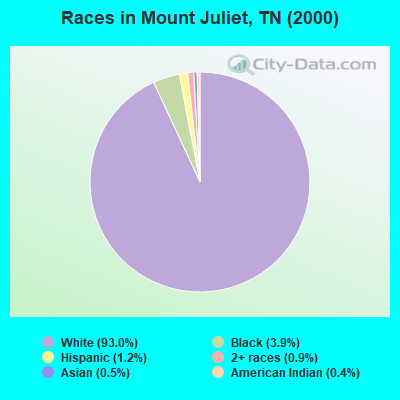 Races in Mount Juliet, TN (2000)