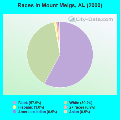 Races in Mount Meigs, AL (2000)