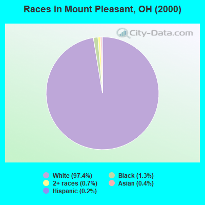 Races in Mount Pleasant, OH (2000)