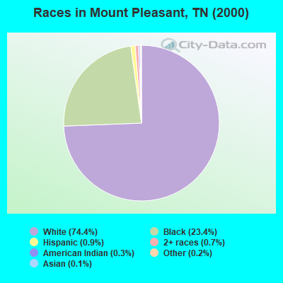 Races in Mount Pleasant, TN (2000)