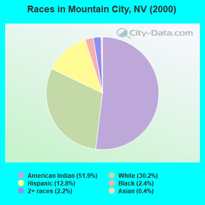 Races in Mountain City, NV (2000)