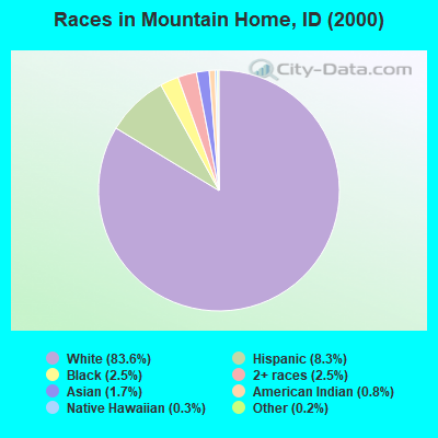 Races in Mountain Home, ID (2000)
