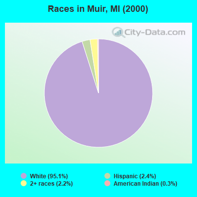 Races in Muir, MI (2000)