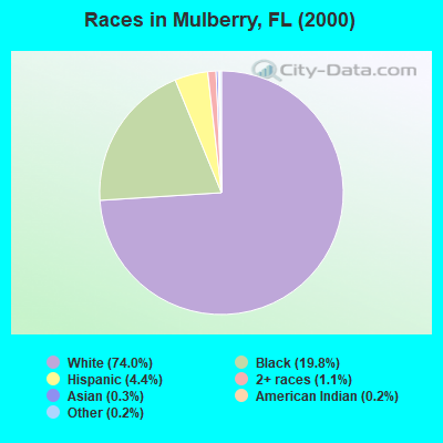 Races in Mulberry, FL (2000)
