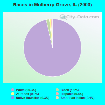 Races in Mulberry Grove, IL (2000)