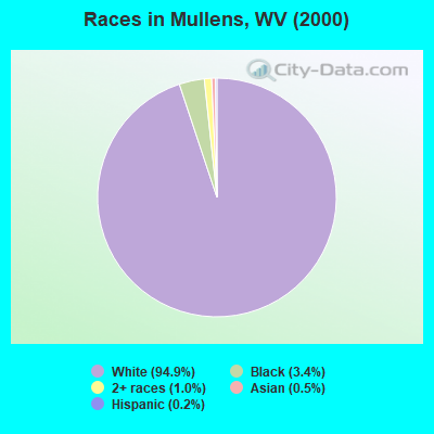 Races in Mullens, WV (2000)