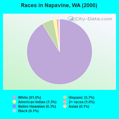 Races in Napavine, WA (2000)
