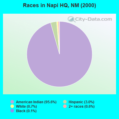 Races in Napi HQ, NM (2000)