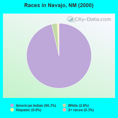 Races in Navajo, NM (2000)