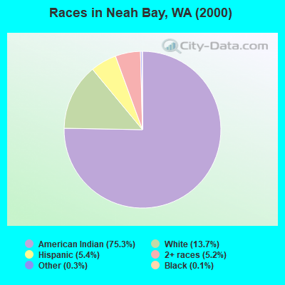 Races in Neah Bay, WA (2000)
