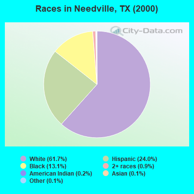 Races in Needville, TX (2000)