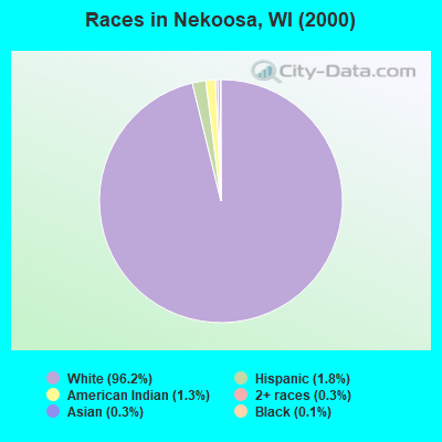 Races in Nekoosa, WI (2000)