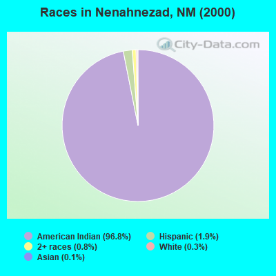 Races in Nenahnezad, NM (2000)