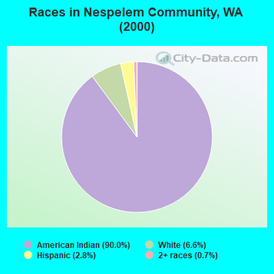 Races in Nespelem Community, WA (2000)