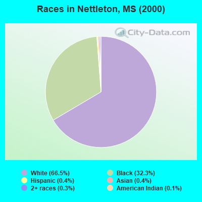 Races in Nettleton, MS (2000)