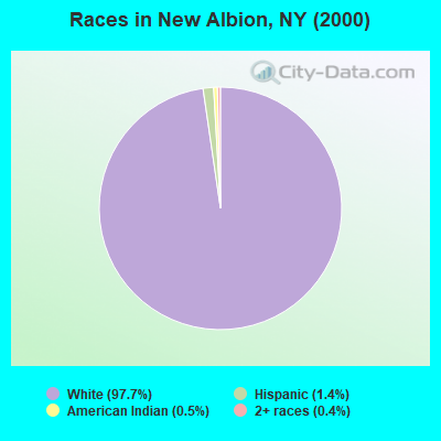 Races in New Albion, NY (2000)