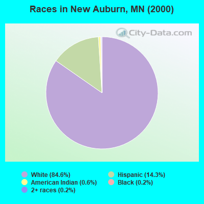 Races in New Auburn, MN (2000)