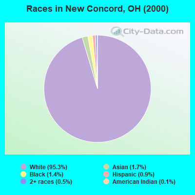 Races in New Concord, OH (2000)