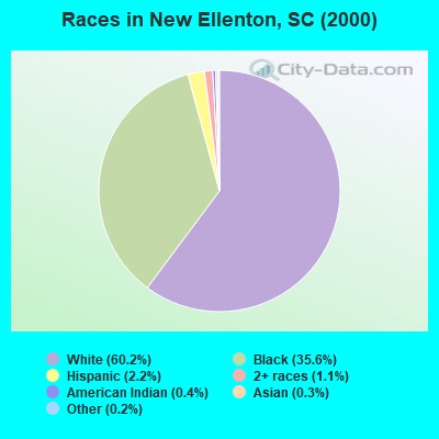 Races in New Ellenton, SC (2000)