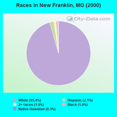 Races in New Franklin, MO (2000)