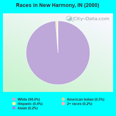 Races in New Harmony, IN (2000)