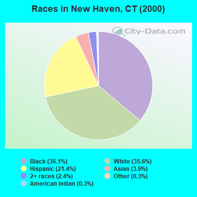 Races in New Haven, CT (2000)