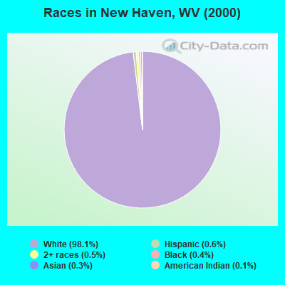 Races in New Haven, WV (2000)