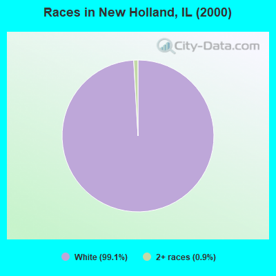 Races in New Holland, IL (2000)