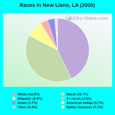 Races in New Llano, LA (2000)