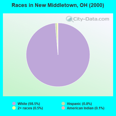 Races in New Middletown, OH (2000)