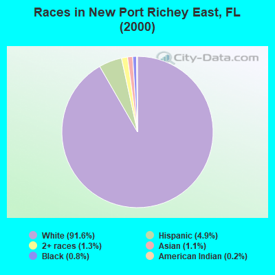 Races in New Port Richey East, FL (2000)