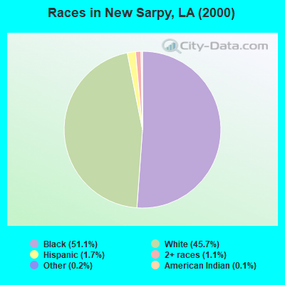 Races in New Sarpy, LA (2000)